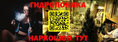 ECSTASY Пенза