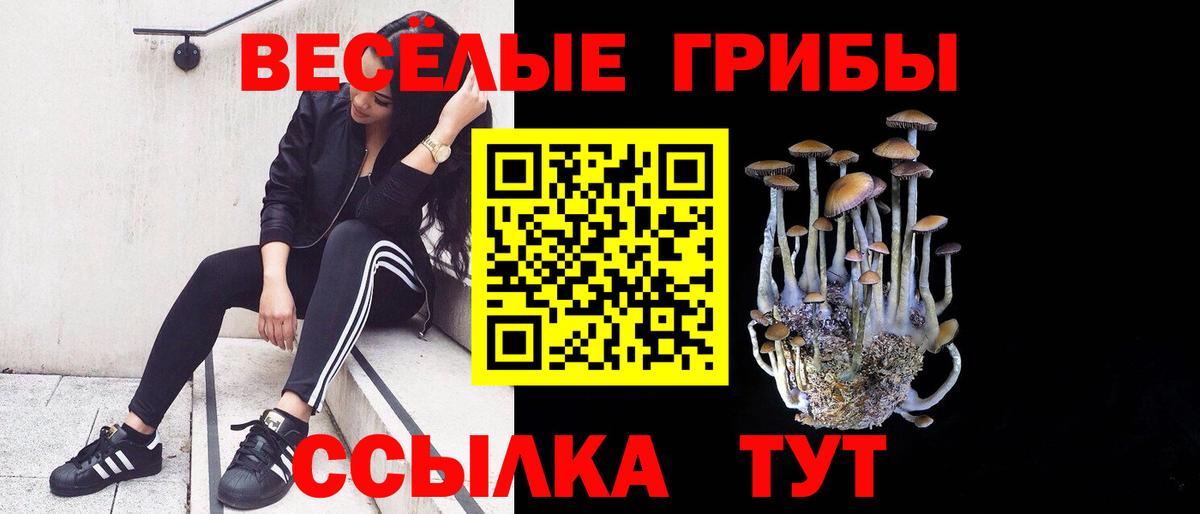 Ртищево  Псилоцибиновые грибы прущие грибы  Вход с VPN 